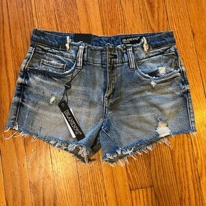 BlankNYC The Astor Denim Shorts